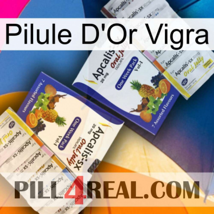 Vigra Gold Pill 12